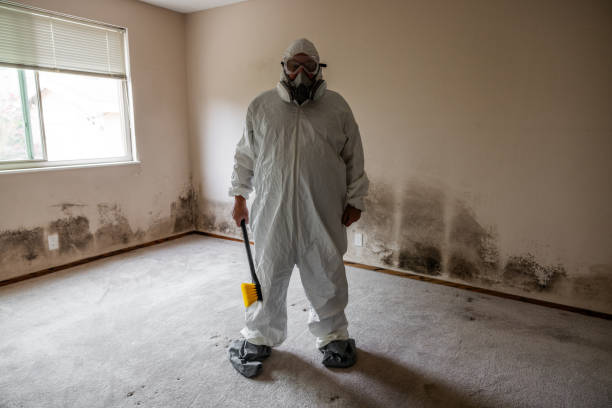 Best Mold Damage Repair  in La Crescenta Montrose, CA